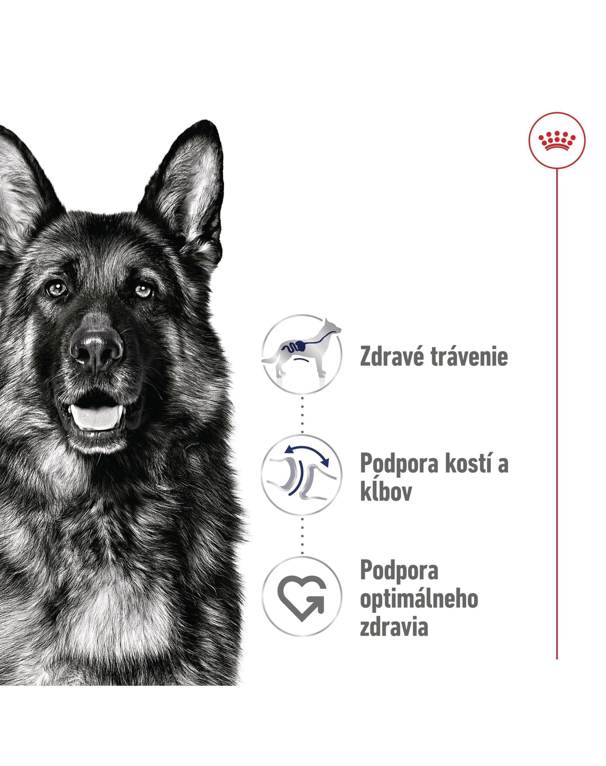 Detail balenia Royal Canin