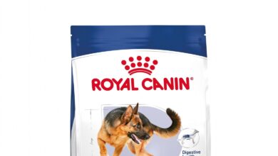 Royal Canin Maxi Adult granule