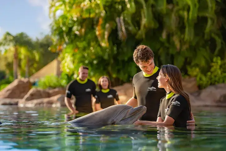 Dolphin encounter in a lagoon