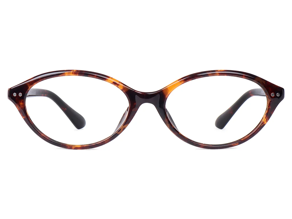 Beirut tortoise optical frames